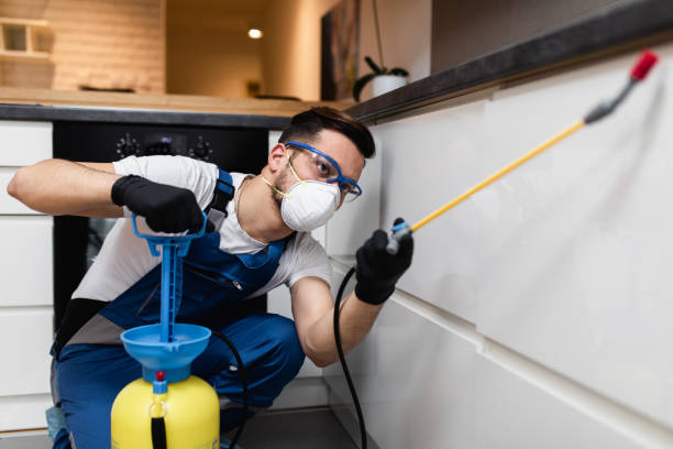 Flea Control Services in Old Bethpage, NY