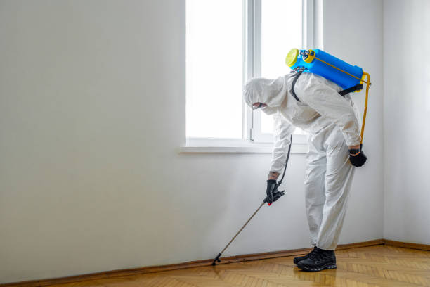 Best Mosquito Control Services  in Old Bethpage, NY
