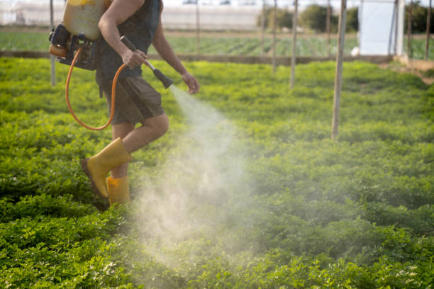 Pest Control Cost in Old Bethpage, NY