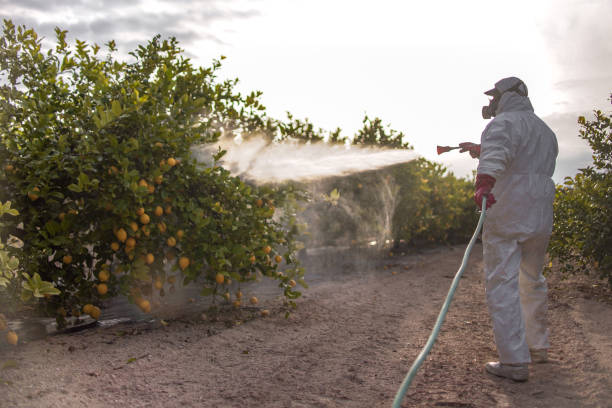 Best Residential Pest Control  in Old Bethpage, NY