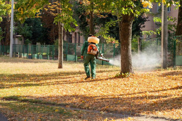 Best Best Pest Control Companies  in Old Bethpage, NY