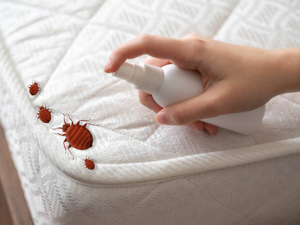 Best Pest Removal Services  in Old Bethpage, NY