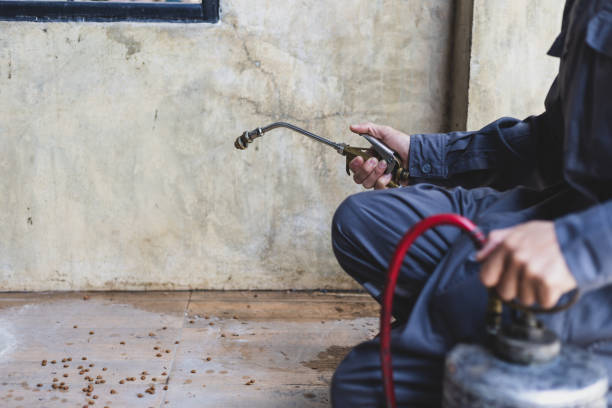 Best Exterminator Services  in Old Bethpage, NY